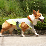 Pet Cooling Clothing Dog Clothing Pet Cooling Pet Supplies