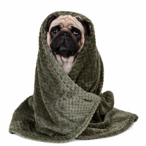 Blanket,Pet,Dog,Warm